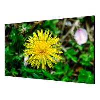 HIKVISION VIDEOWALL 55", 1080P, 500cd/mq-bezelwidth:1.8mm,Input: VGA/DVI/DP/HDMI, output: DP/HDMI, support 4K input - VESA - immagine 2