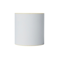 BROTHER BDE1J000102102 ROTOLO ETICHETTE 102 mm x 50 m - CONF. 8 ROTOLI - immagine 2