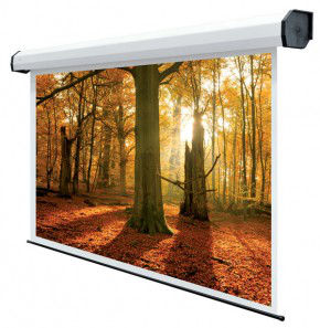 SCHERMO PROIEZIONE ELETTRICO Professional Rubin 400x350cm 1:1 Tela Balta Bianca B1 certificata 5043