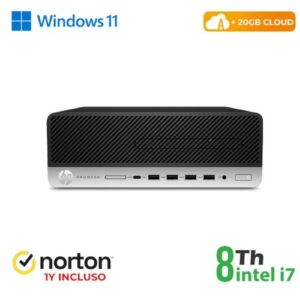 SMALL FORM FACTOR (SFF)