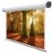 SCHERMO PROIEZIONE ELETTRICO Professional Rubin 400x350cm 1:1 Tela Balta Bianca B1 certificata 5043 - immagine 3