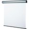 SCHERMO PROIEZIONE ELETTRICO 240x250cm 1:1 Tela Bianca Ignifuga Modello Professional - immagine 3