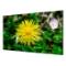 HIKVISION VIDEOWALL 55", 1080P, 500cd/mq-bezelwidth:1.8mm,Input: VGA/DVI/DP/HDMI, output: DP/HDMI, support 4K input - VESA - immagine 3